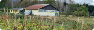 Seniors Corner 307x98