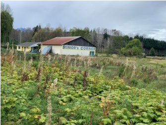 Thrift shop house and root cellar in the distance across a field.