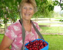 President Diana Penner came to Terrace in 1965 and with her family operated Brouwers Farm. In 2015 Diana organized Terraces' 1st Community Supported Agriculture Program. She is a Retired Social Worker and proud to be your Seniors Community Advocate.